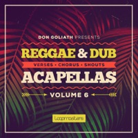 Don Goliath: Reggae & Dub Acapella Vol.6 - Over 1GB of vocal stems in reggae and dub stylee