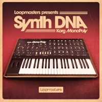 Loopmasters Presents DNA Synths - Korg MonoPoly - Authentic vintage synth sounds on a budget