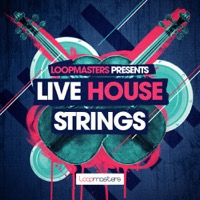 Live House Strings - Timeless multi tracked Violin loops that will lift your House productions