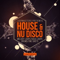 House & Nu Disco - A creative fusion of two genres of music