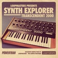 Synth Explorer Transcendent 2000 - Powertran Transcendent 2000 emu designed by Tim Orr of EMS