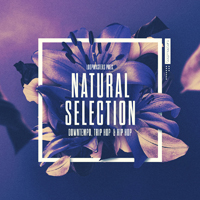 Natural Selection - An evolving soundscape of brightly coloured beats, lush textured pads and more
