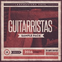 Guitarristas - A stunning collection of over 200 acoustic strung instrument loops