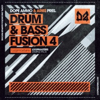 Dope Ammo & Aries - Drum & Bass Fusion Vol 4 - A heavy collection of junglist sounds