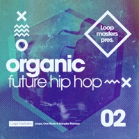 Organic Future Hip Hop 2 - A richly textured collection of hip hop samples and progressions