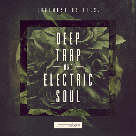 Deep Trap & Electric Soul - Hard-hitting trap drum samples, neo-soul keys, deep trap bass loops, and more