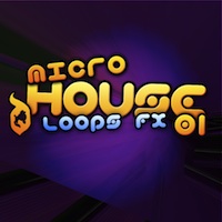 Micro House - 537 fresh samples and Loops that will help you push the boundaries of House