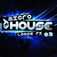 Micro House Vol.2 - Presenting a wide selection of fresh rhythmic parts and dance elements