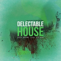 Delectable House - 1GB of soul with a unique edge in the house genre