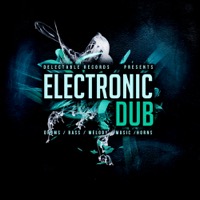 Electronic Dub - Syncopated Drum Beats fueled with diverse twists of engaging ear candy