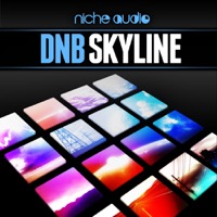DnB Skyline - Samples, patterns and kits which have been crafted with the producer in mind