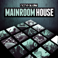 Mainroom House - Ranging from huge bass driven grooves to big room floor fillers 