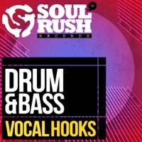 Drum & Bass Vocal Hooks - 88 individual hooks, 4 different vocalists, 2 keys and all at 174bpm