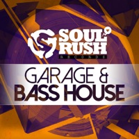 Garage & Bass House - This collection contains 223 catchy and souful 24 bit samples
