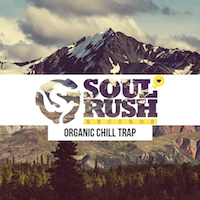 Organic Chill Trap - Organic Chill Trap is packed full of drum loops and thunderous basslines