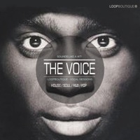 Voice, The - The finest vocal samples and loops for use in all forms of Electro music