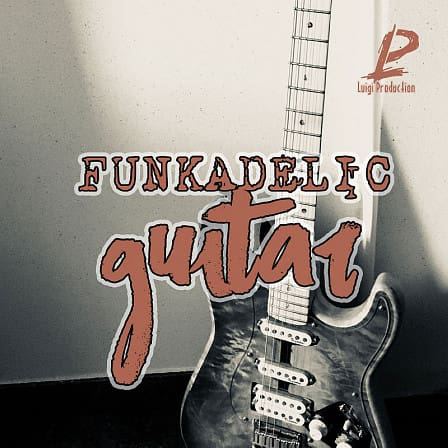 Funkadelic Guitar - 30 amazing live funk guitar samples