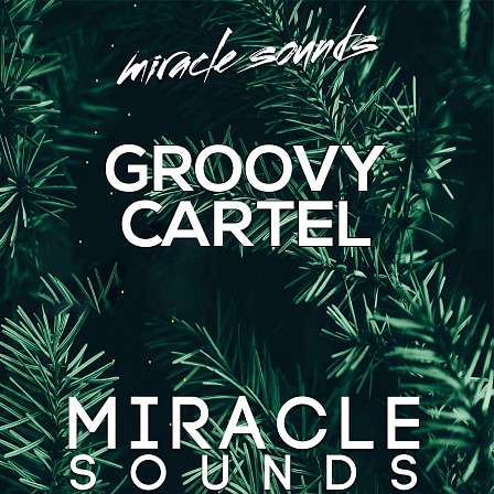 Groovy Cartel - Inspired by Sosumi, Groove Cartel, Pronostar, Axwell, Spectrum and more!