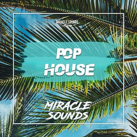 Pop House - A pack full of Bass, Synths, Pluck Loops, Punchy Kicks, Claps, and Hihats