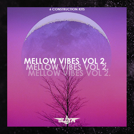 Mellow Vibes Vol.2 - 6 Crazy Mellow Beats Construction kits