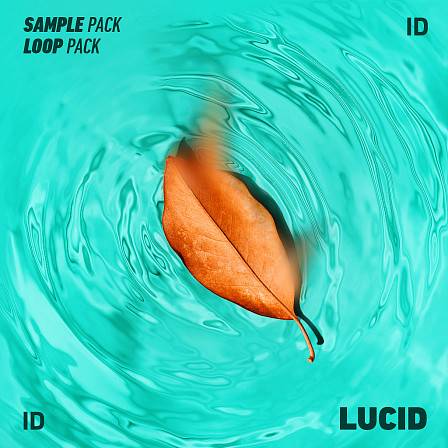 Lucid - Dreamy melodies and hard hitting drums are what define Lucid’s sound