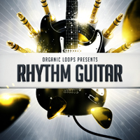 Rhythm Guitar - These recordings will bring a live, organic feel to all of your productions