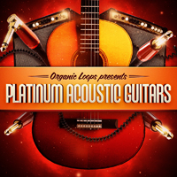 Platinum Acoustic Guitars - A glorious collection of upbeat guitars riffs, chords and rhythms