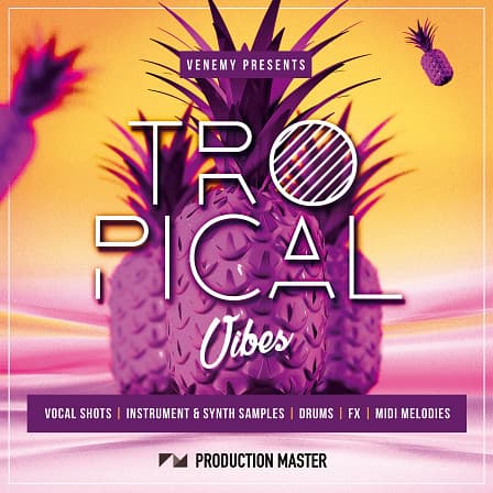 Tropical Vibes - Original sounds and riffs that will set the dance floor on fire and inspire