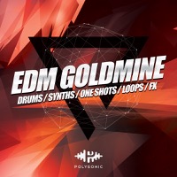 EDM Goldmine - High quality EDM samples 