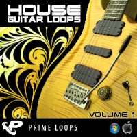 House Guitar Loops - Creamy Electric Guitar Sessions