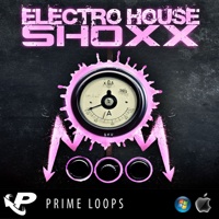 Electro House Shoxx - A complete selection of  straight up no-nonsense electro house elements