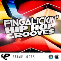 Fingalickin' Hip Hop Grooves - If you roll deeper than the rest "Fingalickin' Hip Hop Grooves" is here for you