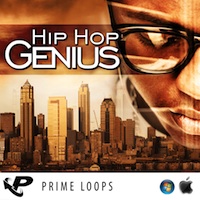 Hip Hop Genius - Hip hop vibes ready to roll in the club