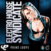 Electro House Syndacate - Hook your music into the minds of clubbers for months to come