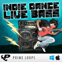Indie Dance Live Bass - 41 brand new and exclusive bass loops, pumped out by Prime Loops