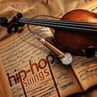 Hip Hop Strings Vol.1 - You will be well on your way to making your next hit
