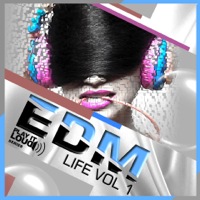 Play It Loud: EDM Life Vol.1 - 53 Royalty-Free MIDI loops in the Festival, Big Room and Progressive climates