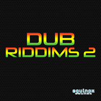 Dub Riddims 2 - The second edition of Dub Riddims bringing you 15 more kits