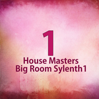 House Masters Big Room Sylenth1 - Everything you need to start making your own killer tracks with Sylenth1