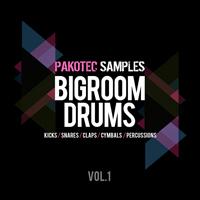 Big Room Drums Vol.1 - 50 up-to-date and fresh drums suitable for House, EDM, and Big Room music