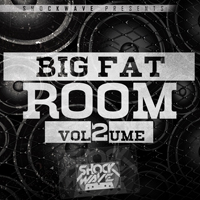 Play It Loud - Big Fat Room Vol.2 - This pack contains the most energetic and fattest sounds on the market