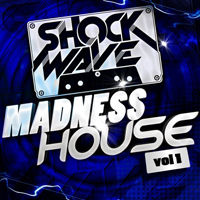 Madness House Vol.1 - Tracks with punchy & groovy beats, uplifting breaks and soulful melodies