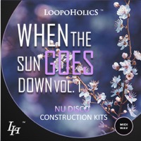 When The Sun Goes Down Vol.1: Nu Disco - Go all the way back 80s with this collection of six funky Kits