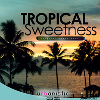 Dynamite Sounds - Tropical Sweetness - Five Construction Kits inspired by the sounds of Tropical House