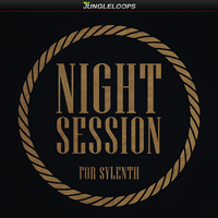 Night Session for Sylenth - 40 sounds consisting of leads, synths, arps, pads, and one Construction Kit