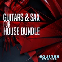 Guitars & Sax For House Bundle - Two sounds collections containing 50 guitar loops and 30 saxophone melodies