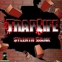 Trap Life Sylenth Bank Vol 1 - 36 original sounds including leads, plucks, pads, and more