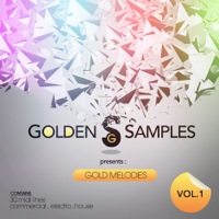 Gold Melodies Vol 1 - 30 fantastic MIDI melodies ready to fire up your Dance productions
