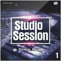 Studio Session: Festival Melody Vol 1 - 40 fresh and Royalty-Free MIDI loops and 70 WAV lead loops