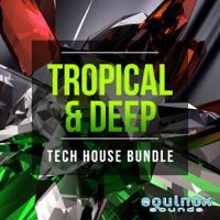 Tropical & Deep Tech House Bundle - Construction Kits and NI Massive presets inspired by Tropical House artists